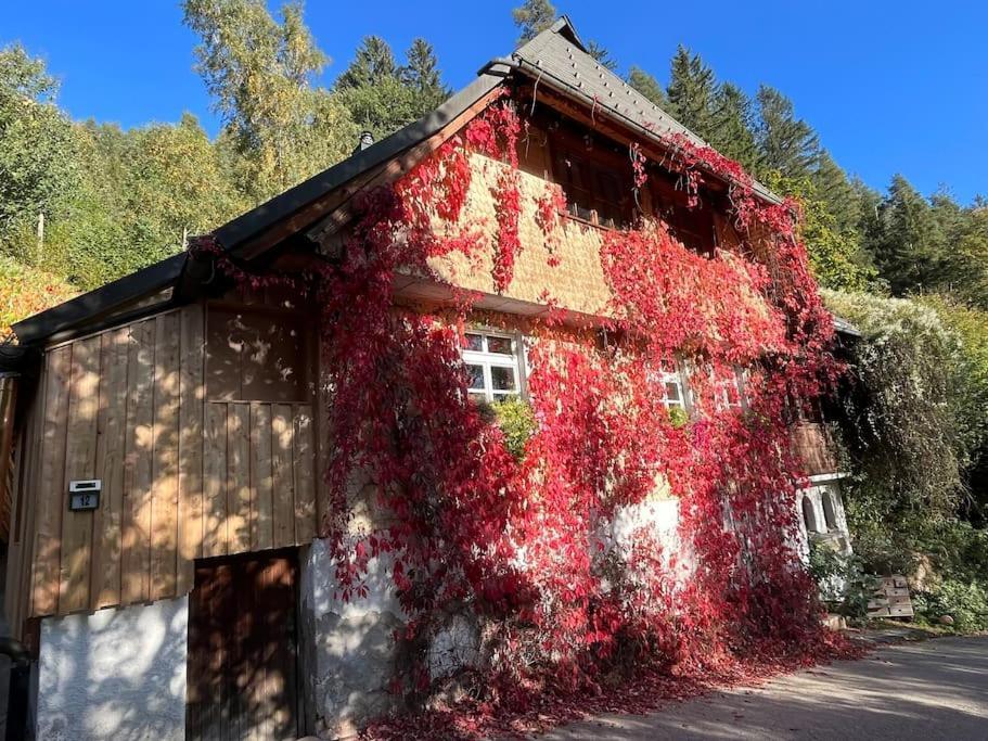 Апартаменти Auszeit Am Kreisbach Triberg im Schwarzwald Екстер'єр фото